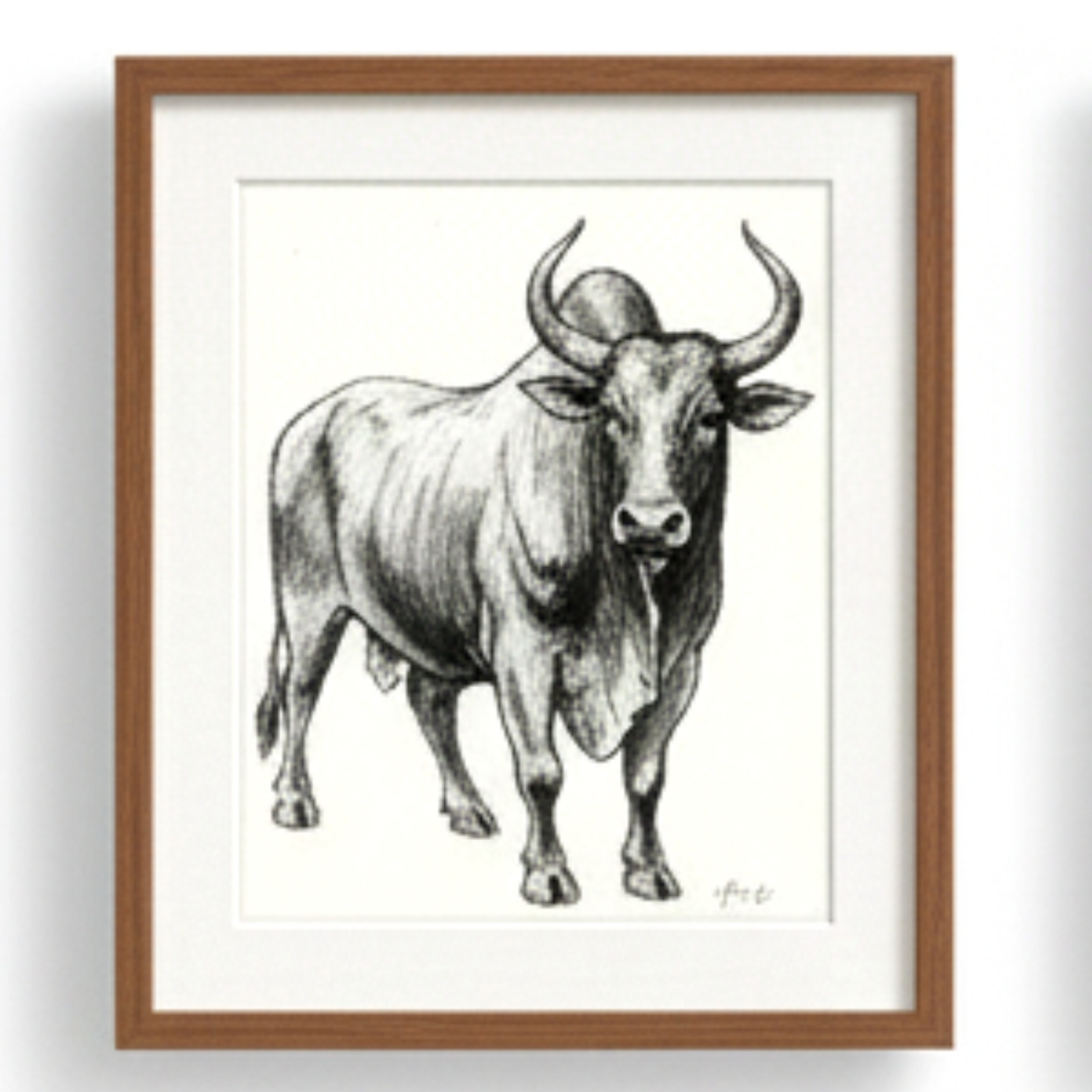 Majestic Bull Charcoal Sketch